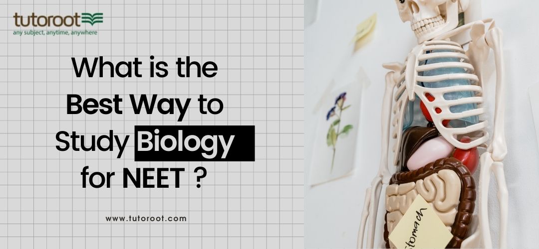 What_is_the_best_way_to_study_biology_for_NEET.j