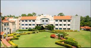 The-International-School-Bangalore