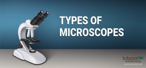 Types of Microscopes