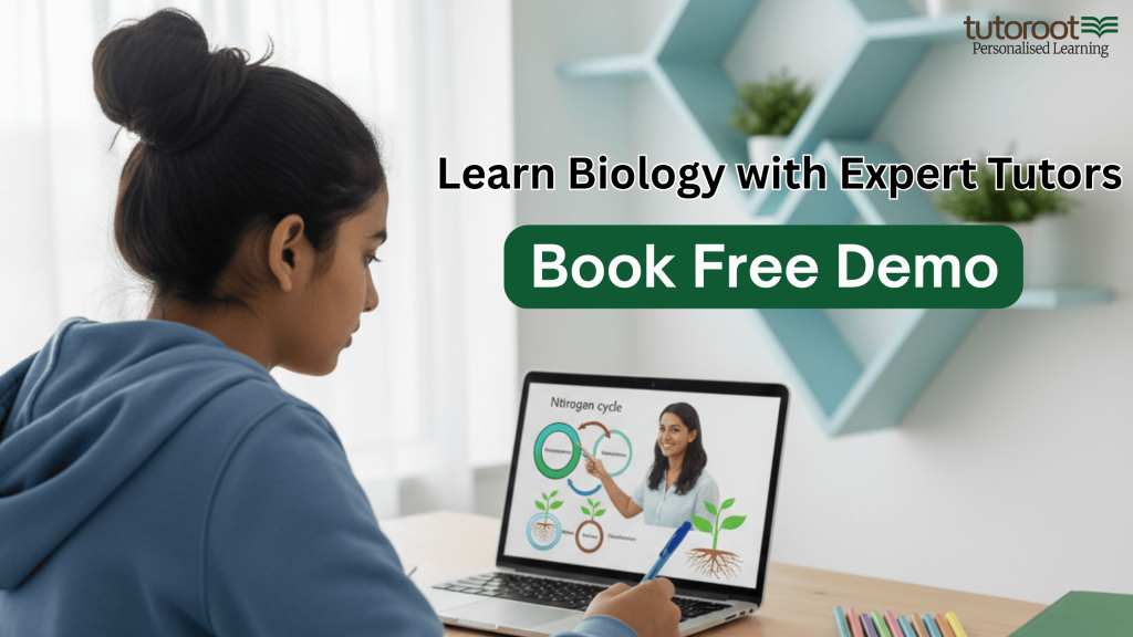 Online Biology tuition explaining the nitrogen cycle with expert tutors