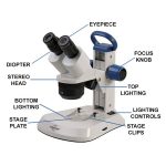 What are the Types of Microscopes?