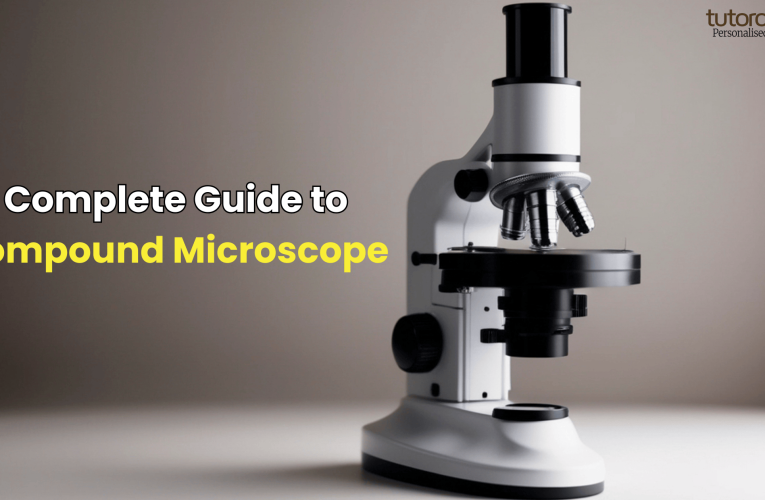 Complete Guide to Compound Microscope