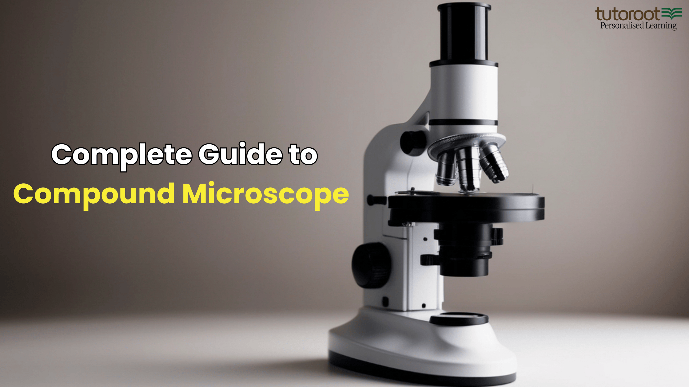 Complete Guide to Compound Microscope