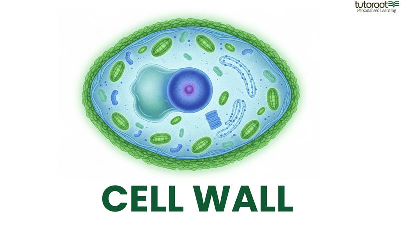 Cell-Wall-Blog-