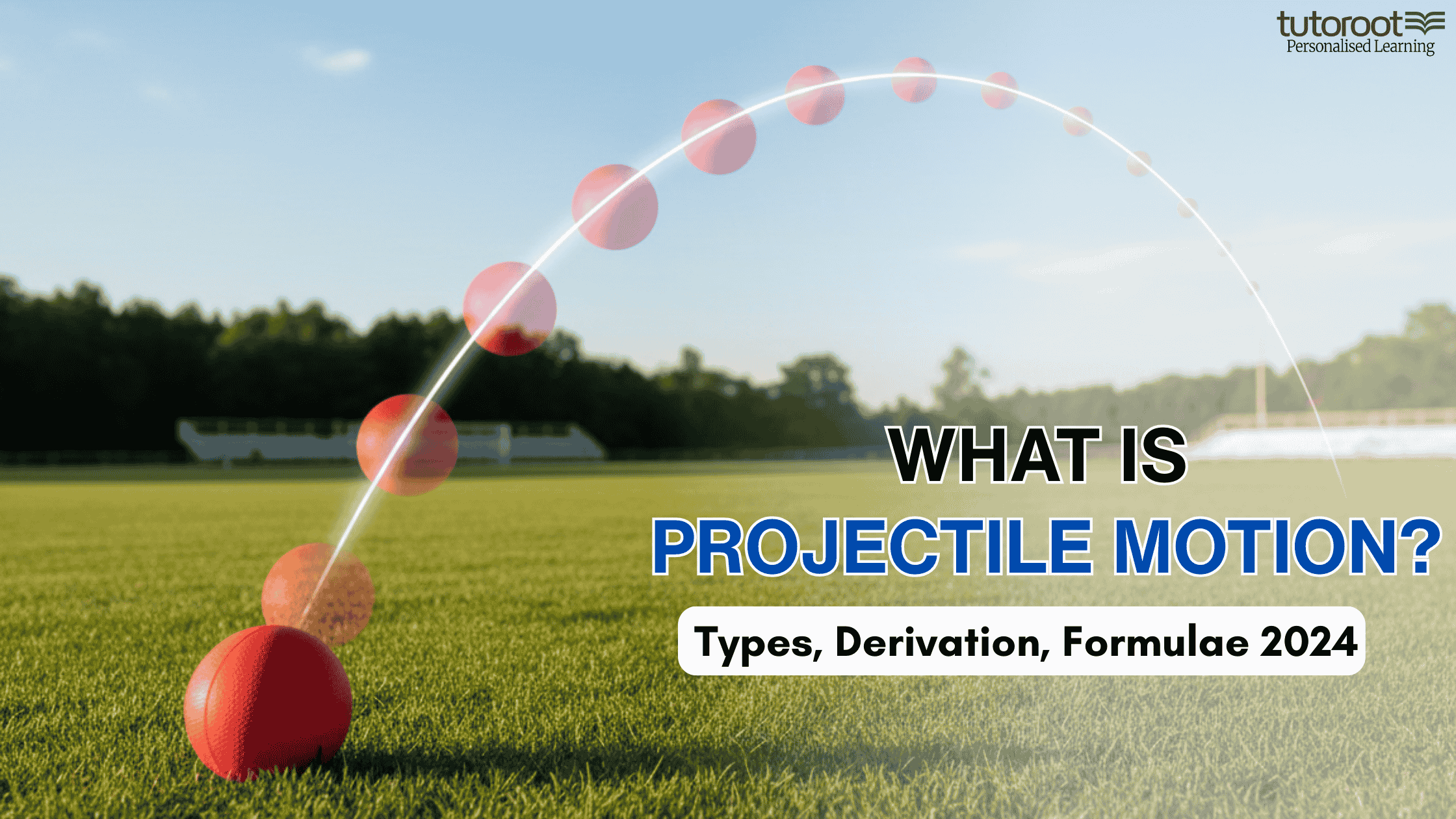 Projectile Motion Blog