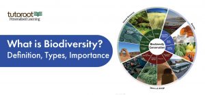 What is Biodiversity?