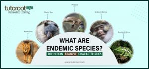 What are Endemic Species? - Definition, Example, Characteristics