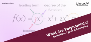 What are Polynomials?