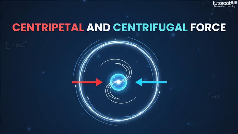 Difference Between Centripetal and Centrifugal Force – Examples, Calculation