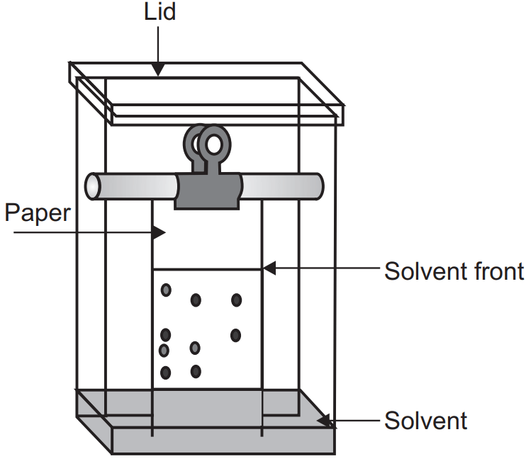 What is Paper Chromatography? Experiment, Diagram
