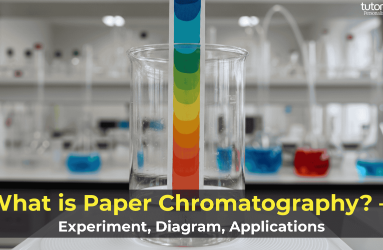 What is Paper Chromatography? – Experiment, Diagram, Applications