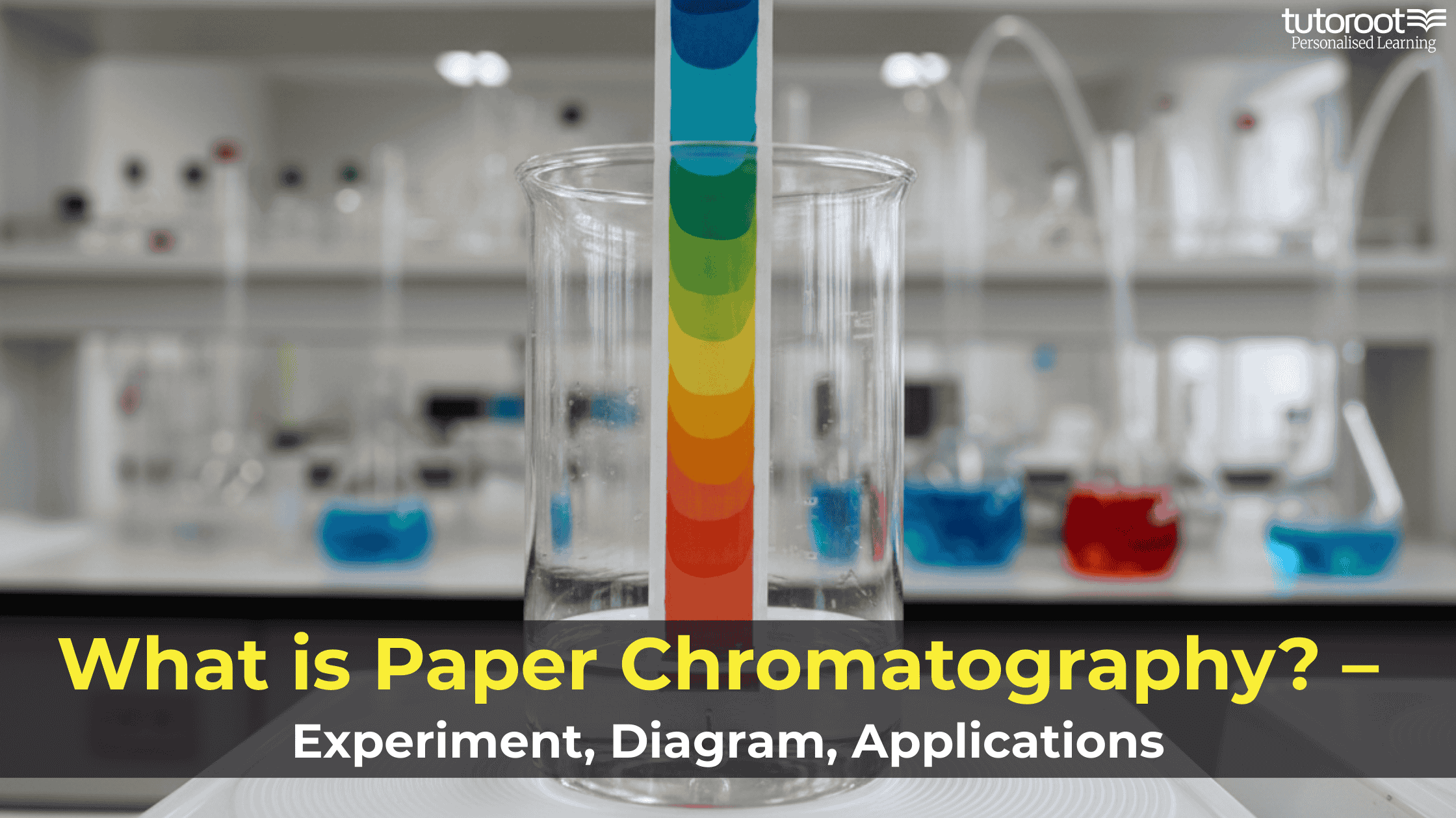 Paper-Chromatography