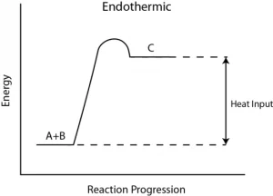 Energy Level Diagram of an Endothermic Reaction