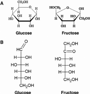 Structure of Fructose diagram