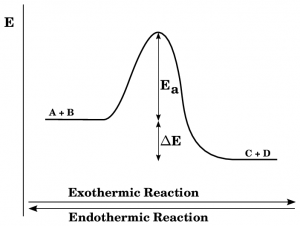 Energy Level Diagram of Exothermic Reaction