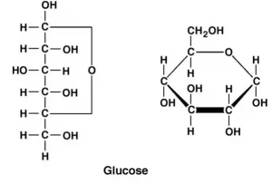 Structure of glucose diagram