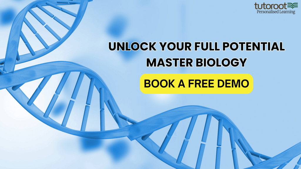 Human Digestive System