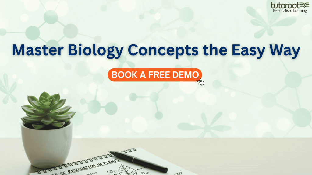 Respiration in Plants Glycolysis and Krebs Cycle Diagram Class 11