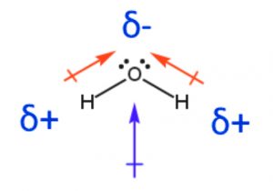 Dipole moment of Water molecule