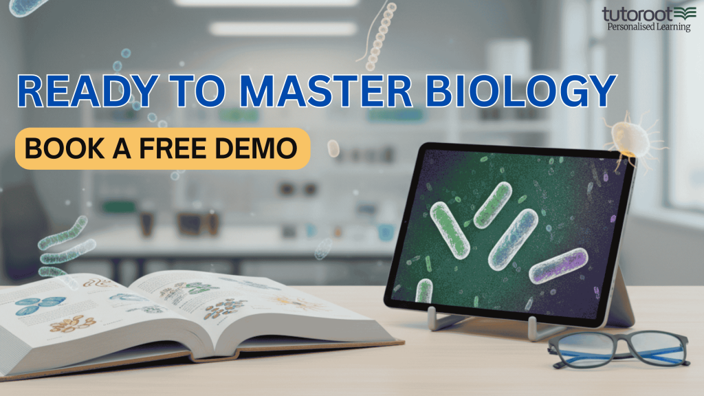 Kingdom Monera characteristics and classification for Class 11 Biology