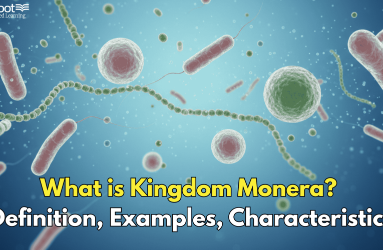 What is Kingdom Monera? Definition, Examples, Characteristics
