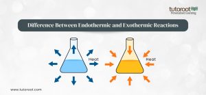 Difference Between Endothermic and Exothermic Reactions