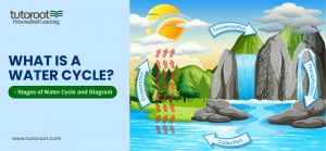 What is a Water Cycle 