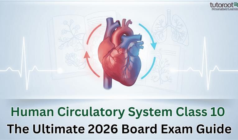 Human Circulatory System Class 10: The Ultimate 2026 Board Exam Guide