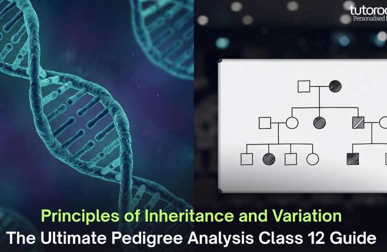 Principles of Inheritance and Variation: The Ultimate Pedigree Analysis Class 12 Guide